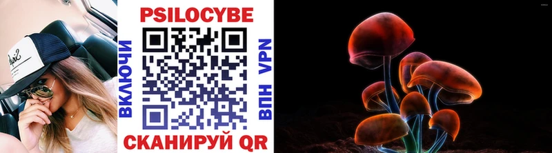 Галлюциногенные грибы GOLDEN TEACHER Рузаевка